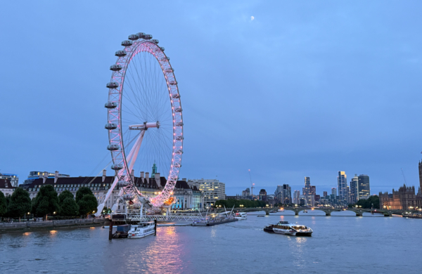 London Eye rose Saint-Valentin