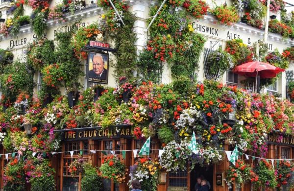 Façade du pub fleurie The Churchill Arms à londres