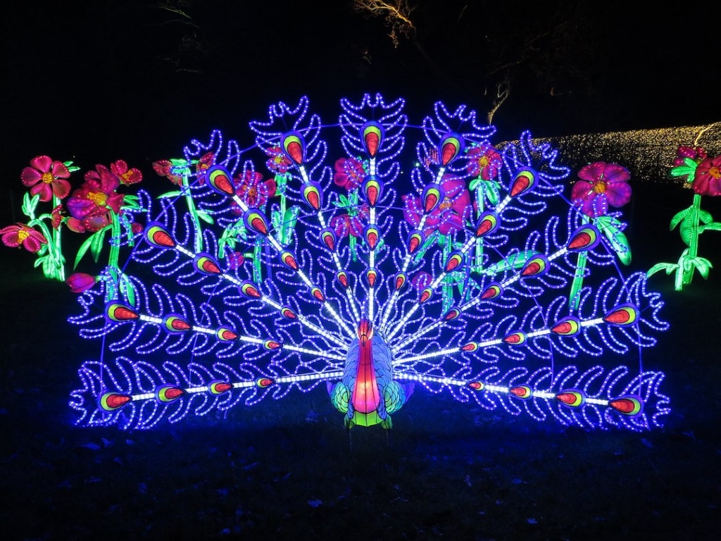 Installation lumineuse en forme de paon à Kew Gardens