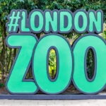 Le hashtag du zoo de Londres