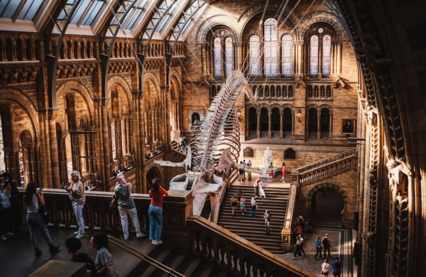 Musée d'Histoire Naturelle à Londres